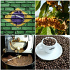 KAWA MIELONA YELLOW BOURBON FAZENDA RAINHA PULPED NATURAL BRAZYLIA WIZARD - PALENIE ŚREDNIO CIEMNE