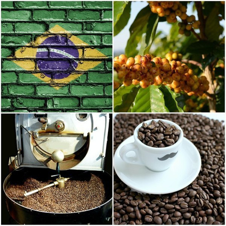 KAWA MIELONA YELLOW BOURBON FAZENDA RAINHA PULPED NATURAL BRAZYLIA WIZARD - PALENIE ŚREDNIO CIEMNE